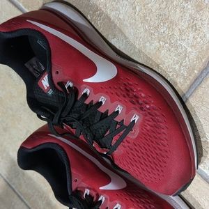 Nike zoom pegasus 34